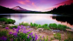 scenery