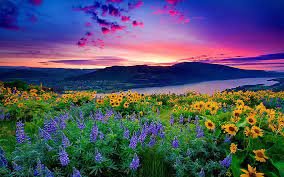 scenery