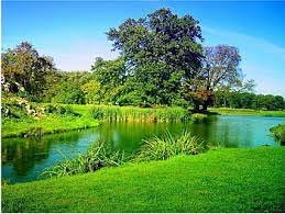 nature