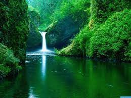 nature