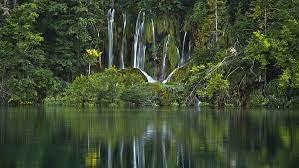 nature