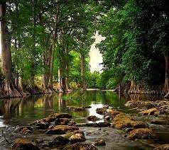 nature