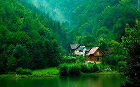 nature