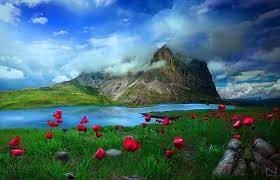nature