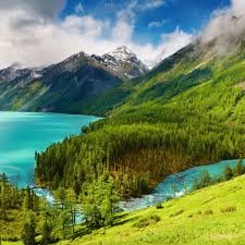 nature