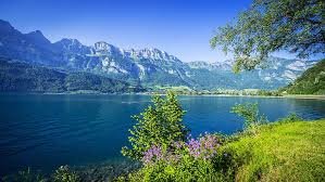 nature